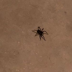 Meet your Posher, Raziuddin